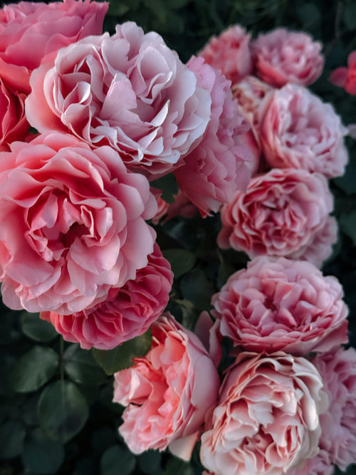 I Came Back to God After Feeling Far Away for Years