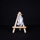 Prayer Hands Sticker